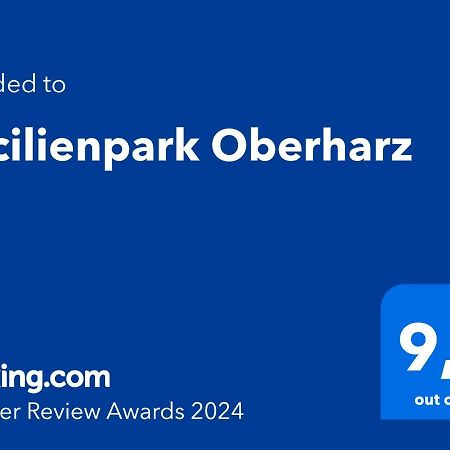 Вилла Cecilienpark Oberharz Гослар Экстерьер фото