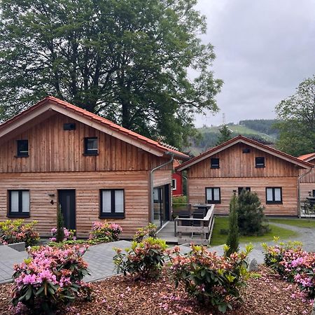 Вилла Cecilienpark Oberharz Гослар Экстерьер фото