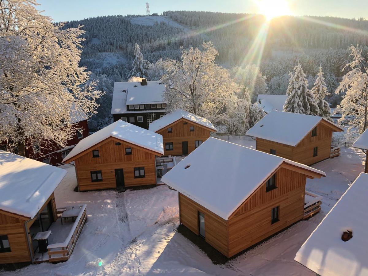 Вилла Cecilienpark Oberharz Гослар Экстерьер фото