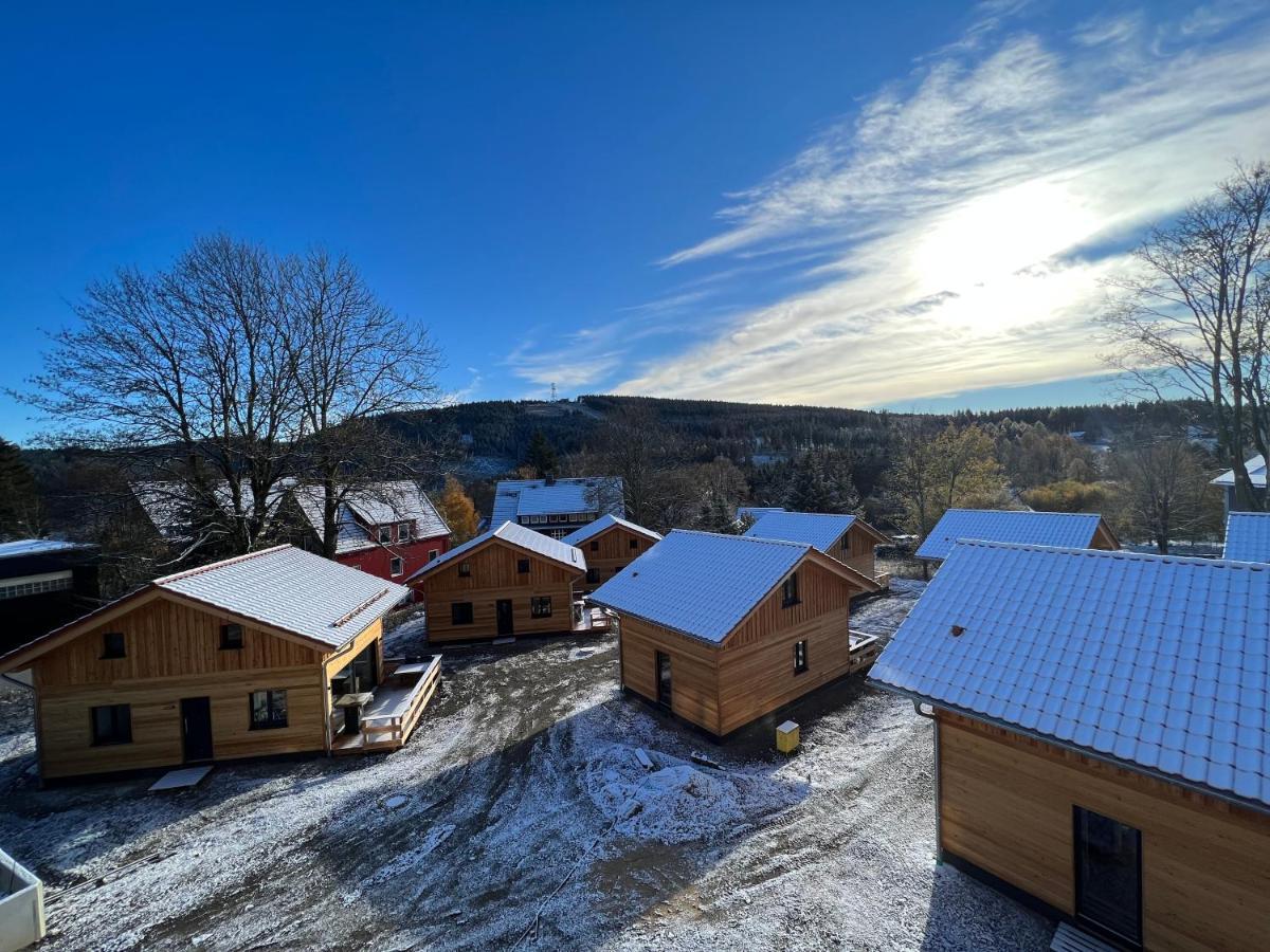 Вилла Cecilienpark Oberharz Гослар Экстерьер фото