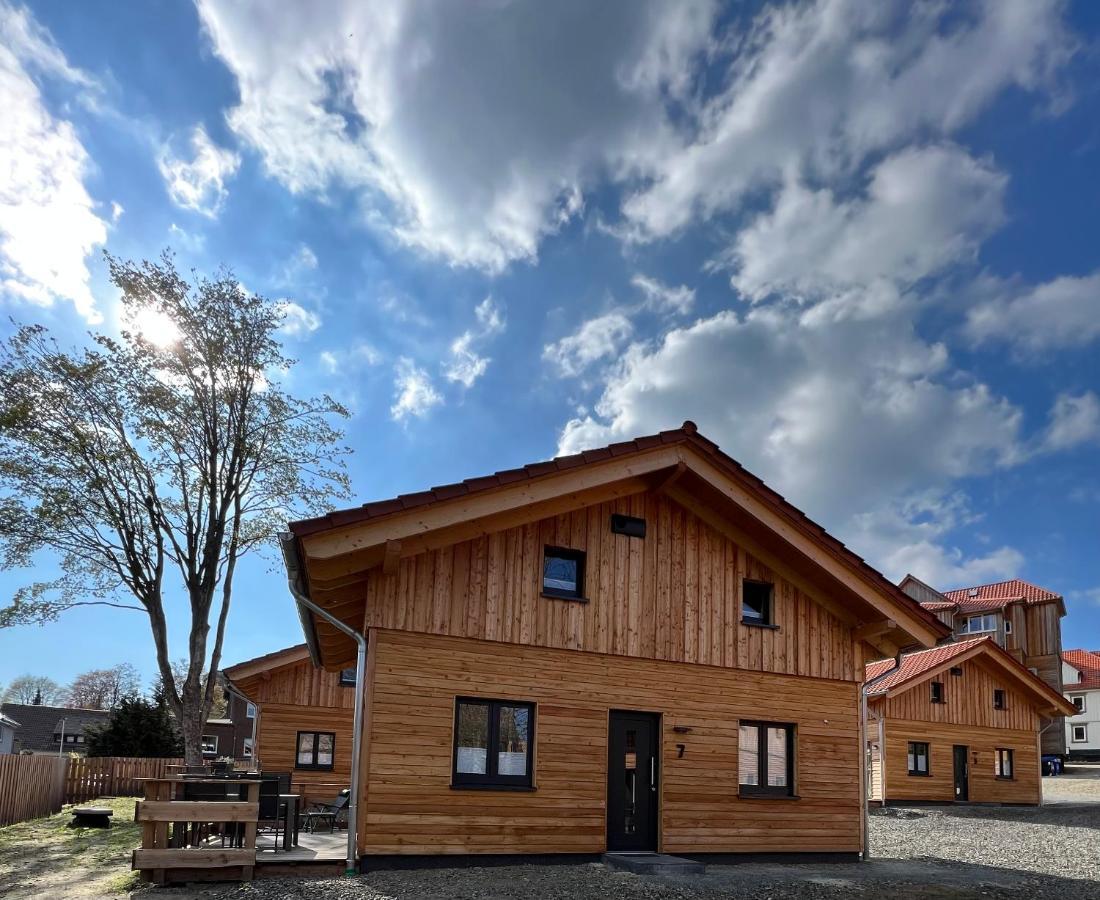 Вилла Cecilienpark Oberharz Гослар Экстерьер фото