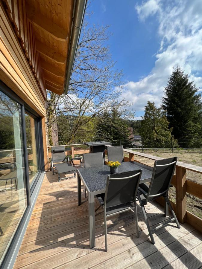 Вилла Cecilienpark Oberharz Гослар Экстерьер фото