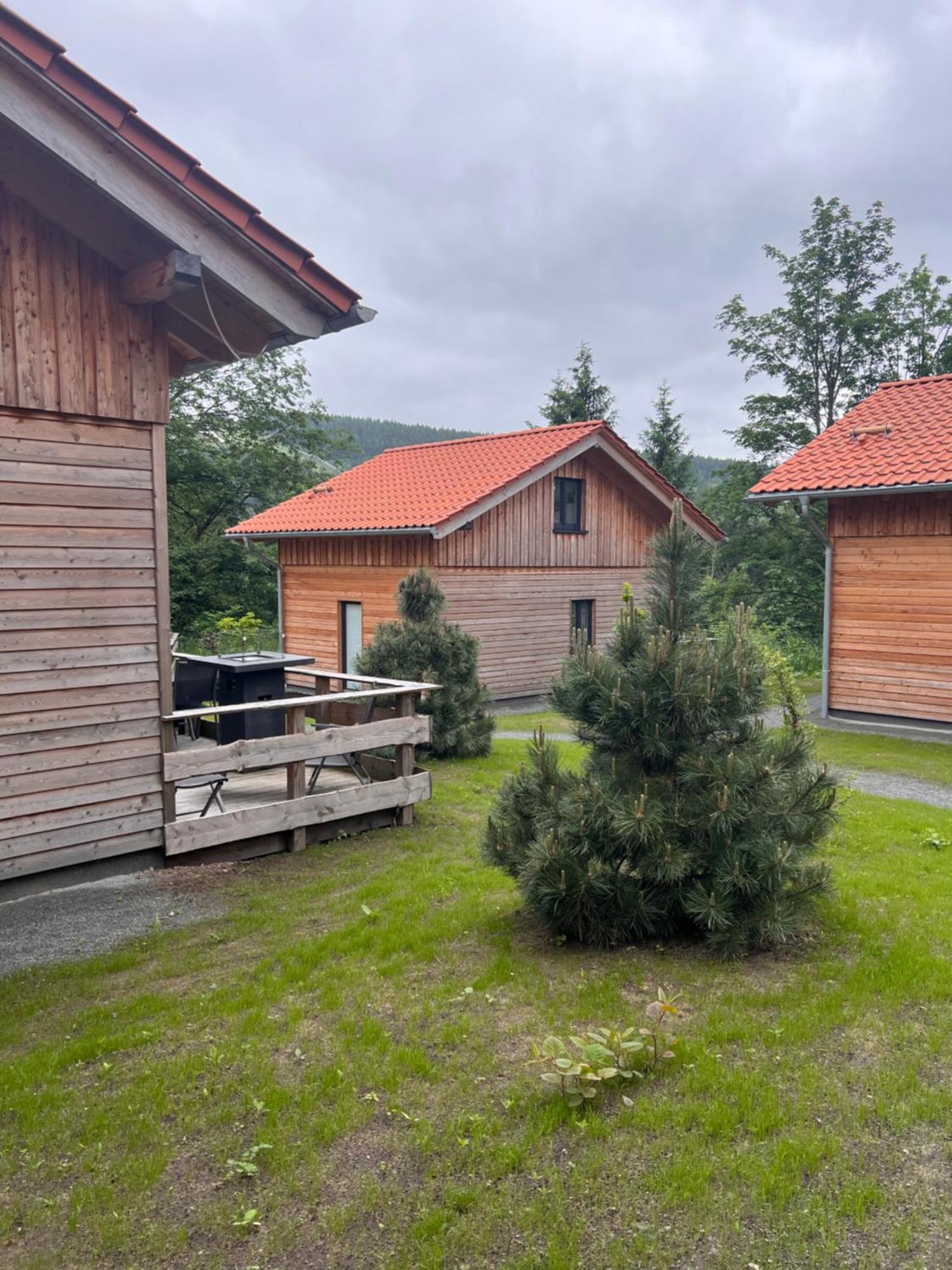 Вилла Cecilienpark Oberharz Гослар Экстерьер фото