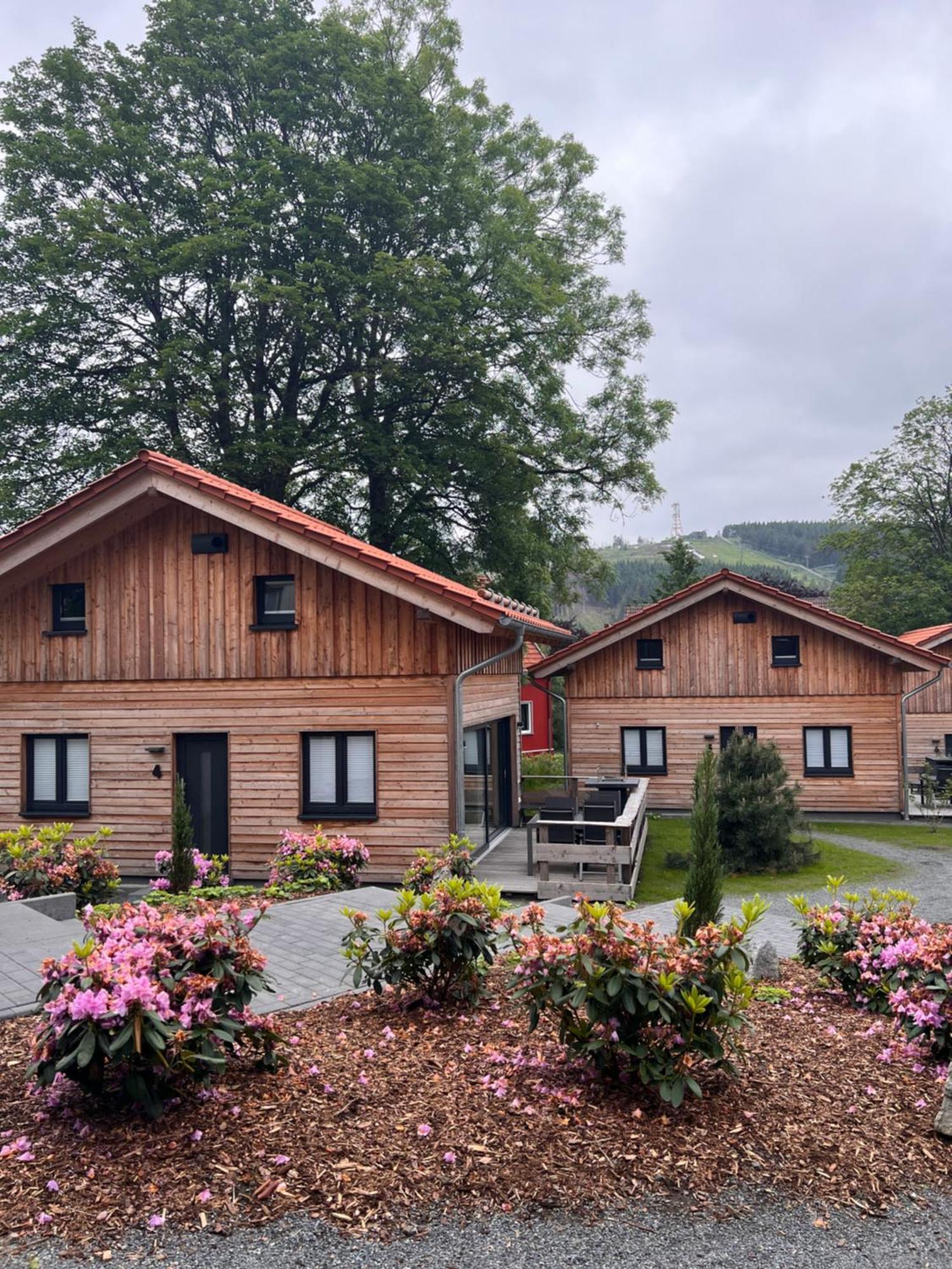 Вилла Cecilienpark Oberharz Гослар Экстерьер фото
