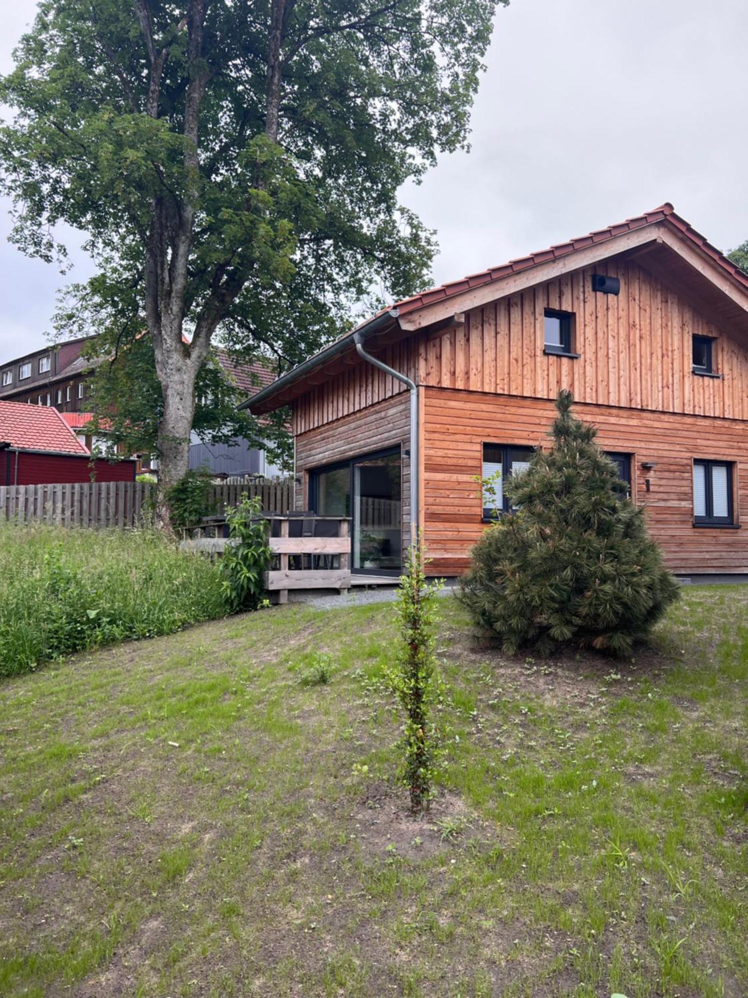 Вилла Cecilienpark Oberharz Гослар Экстерьер фото