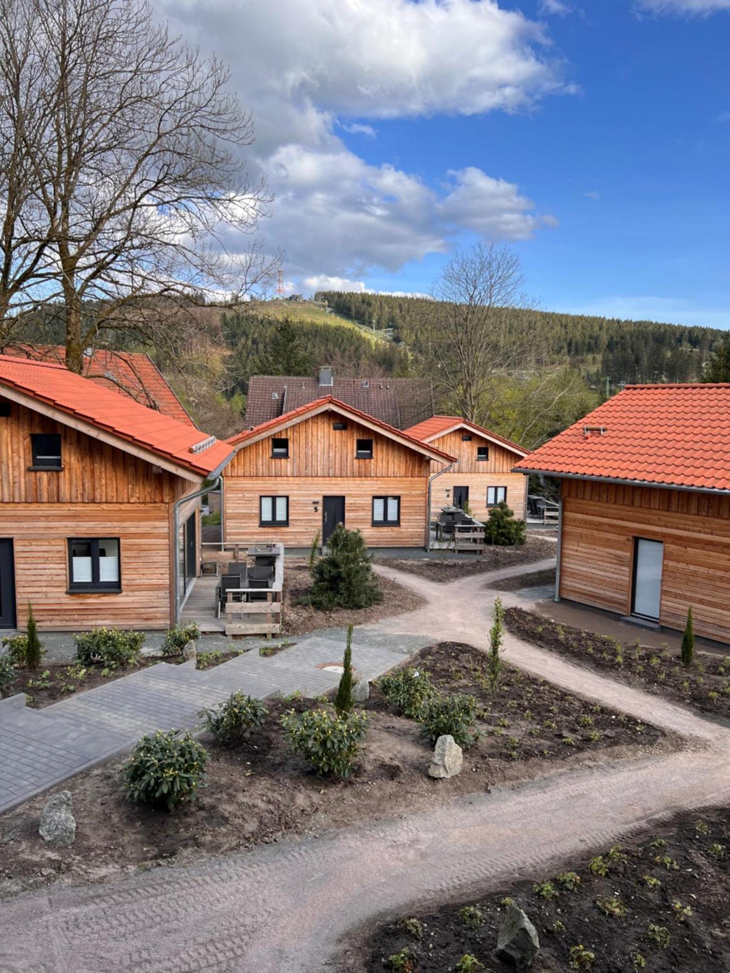 Вилла Cecilienpark Oberharz Гослар Экстерьер фото